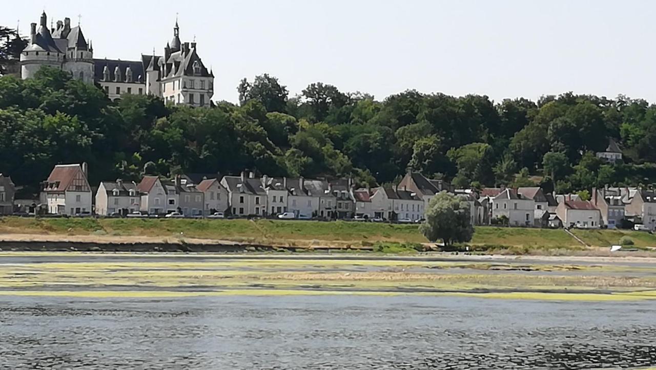Villa Eugenie Onzain Exteriér fotografie